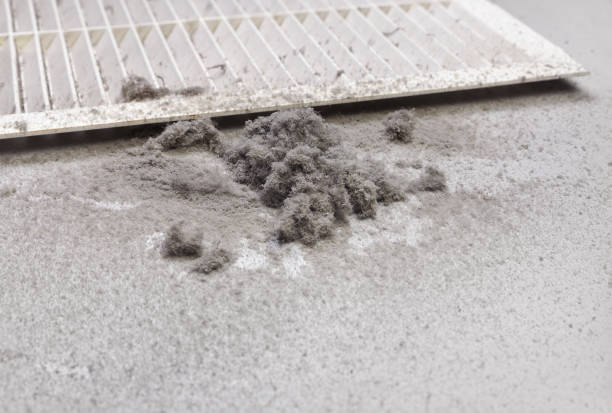 Best Commercial HVAC Duct Cleaning  in North Vacherie, LA